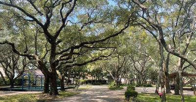 Park